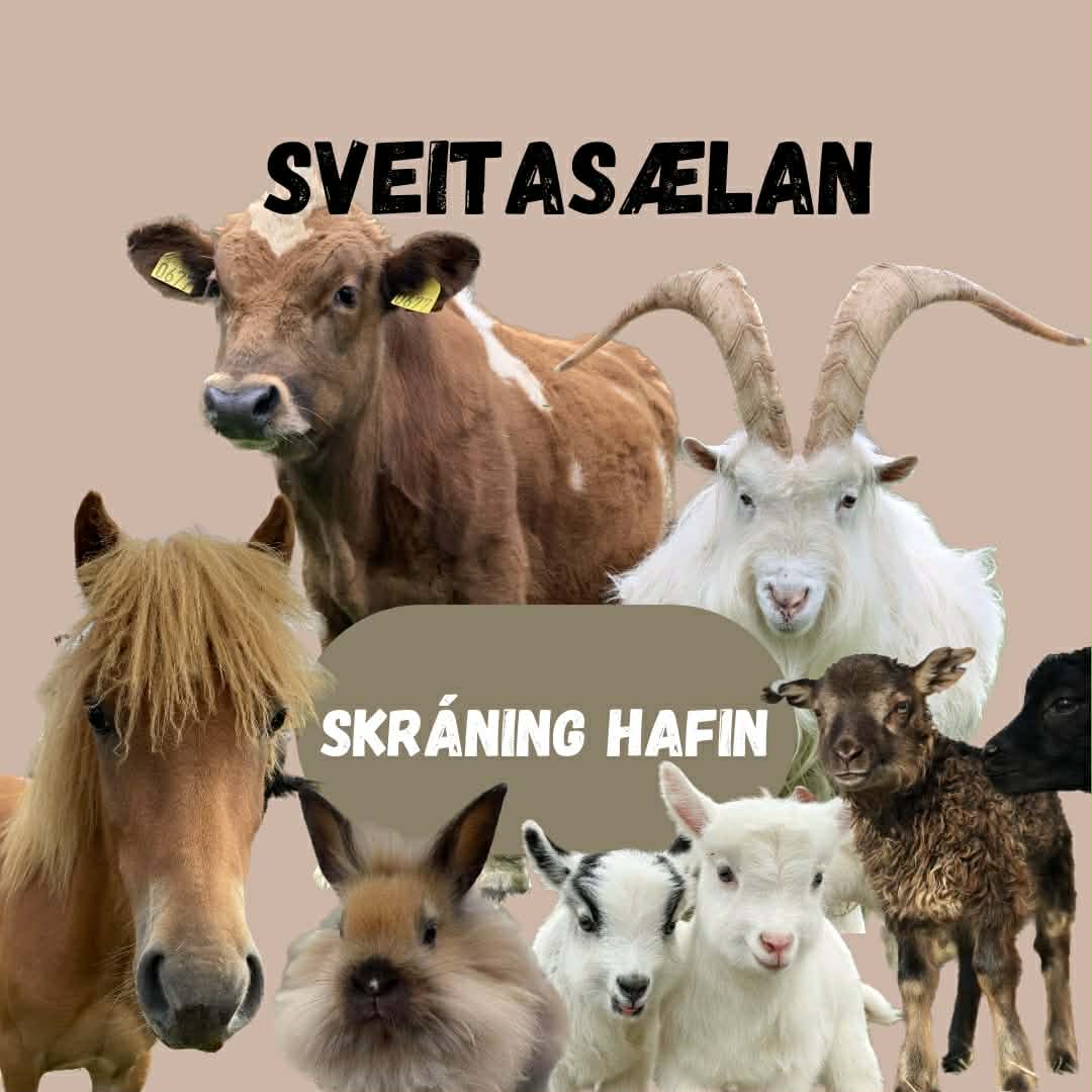 eb3b4d34-c889-4b0c-992a-f425b3e0eb90